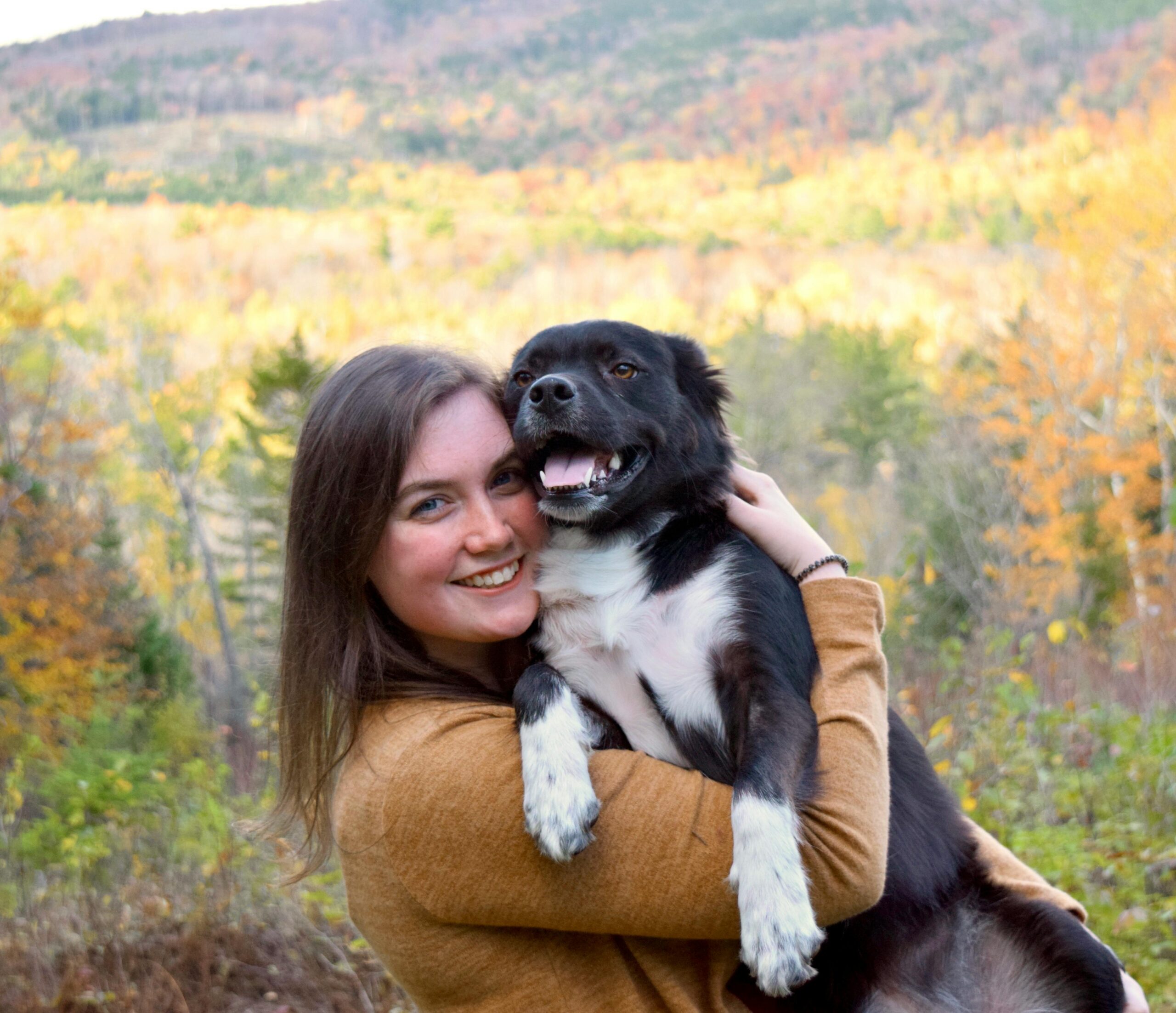 Healthy Pets Blog Healthy Pets of Ohio