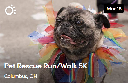 Pet Rescue Run/Walk 5K 2025