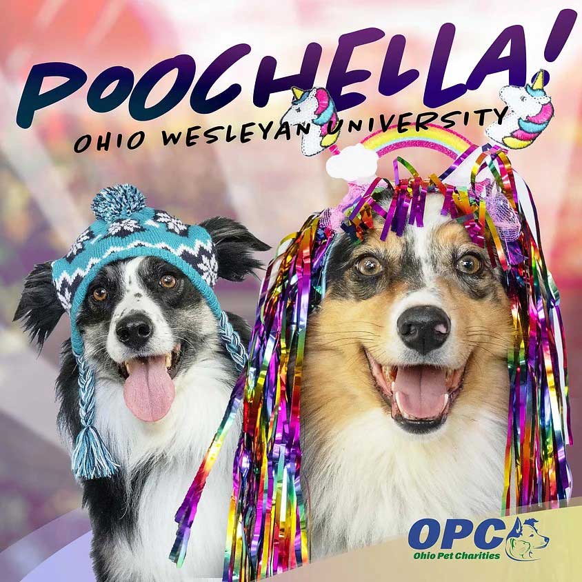 Poochella! 2025