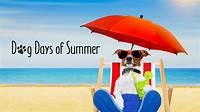 Dog Days of Summer 2025