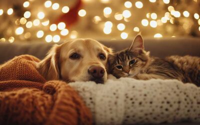 How to Capture the Perfect Family Pet Photo for Your Holiday Cards