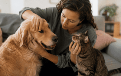 The One-Minute Monthly Pet Check Every Owner Should Do at Home