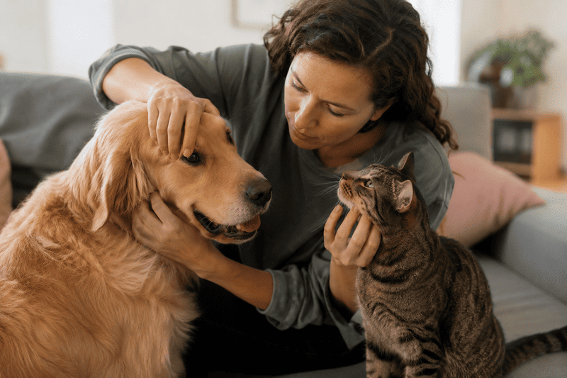 SEPT_26_One_Minute_Monthly_Pet_Check The One-Minute Monthly Pet Check Every Owner Should Do at Home